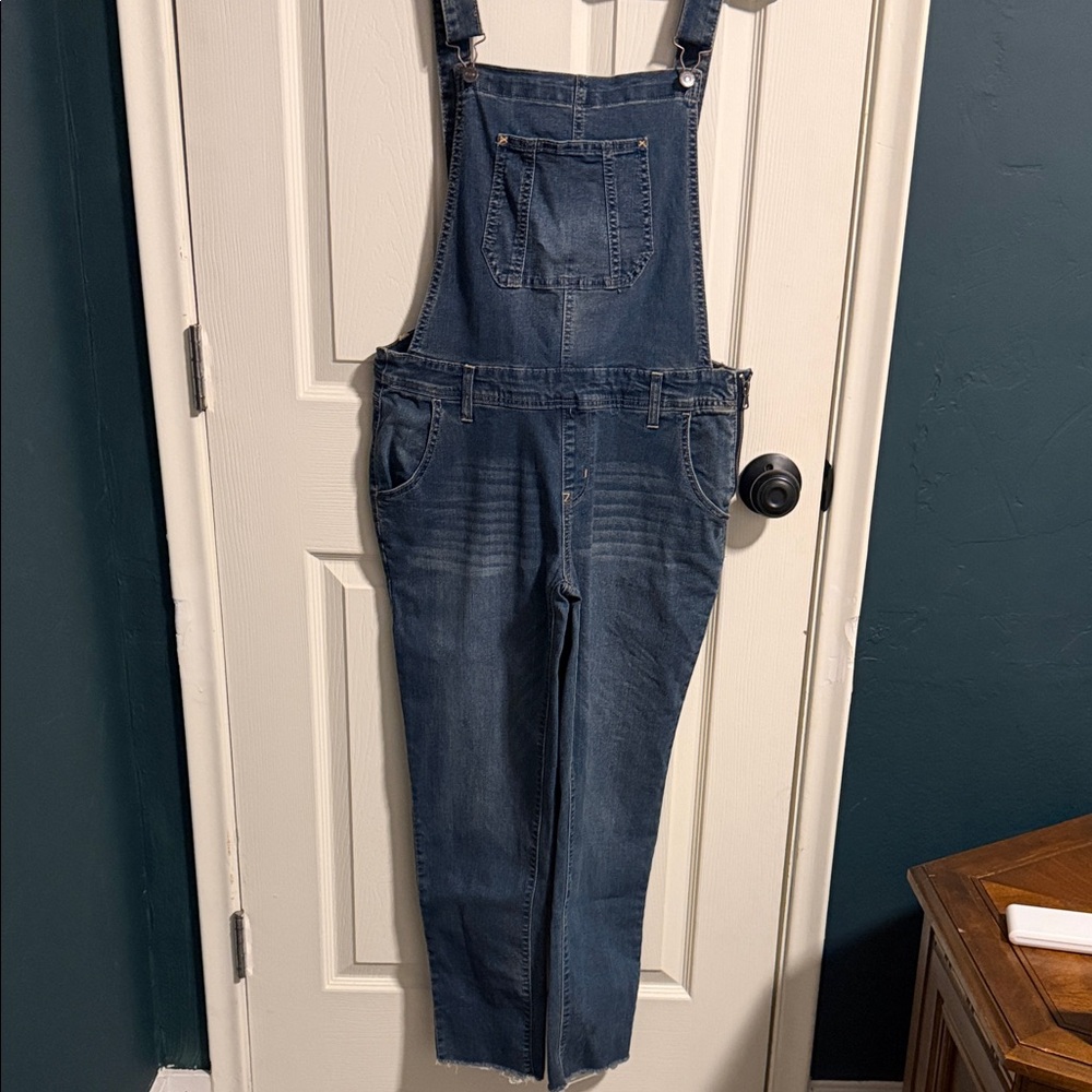 Wallflower Denim Overalls